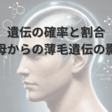 遺伝の確立と割合 父母からの薄毛遺伝の影響
