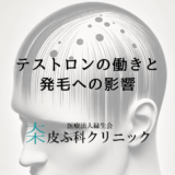 テストロンの働きと発毛への影響｜正しい知識と対策方法