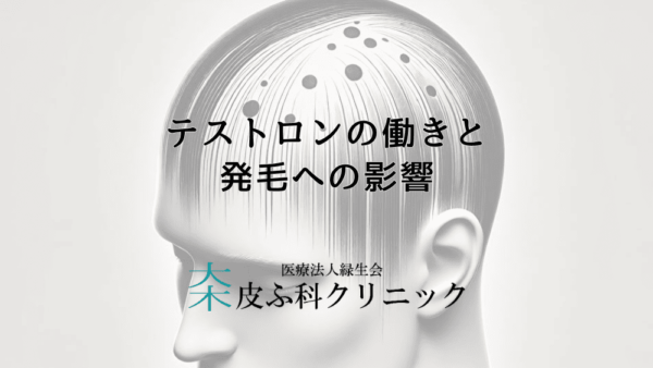 テストロンの働きと発毛への影響｜正しい知識と対策方法