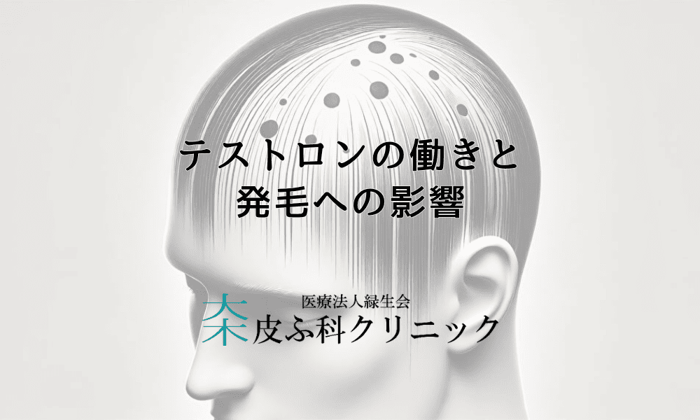 テストロンの働きと発毛への影響｜正しい知識と対策方法