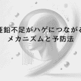 亜鉛不足がハゲにつながるメカニズムと予防法