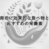育毛に効果的な食べ物とおすすめの栄養素