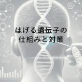 はげる遺伝子の仕組みと対策｜親からの遺伝にどう向き合うか