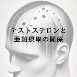 テストステロンと亜鉛摂取の関係｜薄毛予防に役立つ栄養素