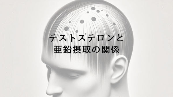テストステロンと亜鉛摂取の関係｜薄毛予防に役立つ栄養素