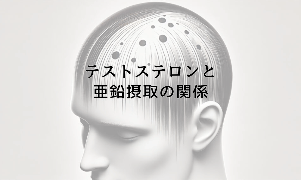 テストステロンと亜鉛摂取の関係｜薄毛予防に役立つ栄養素
