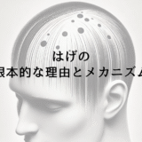 はげの根本的な理由とメカニズム – 薄毛になる原因を解明
