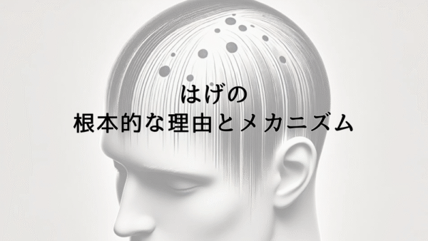 はげの根本的な理由とメカニズム – 薄毛になる原因を解明