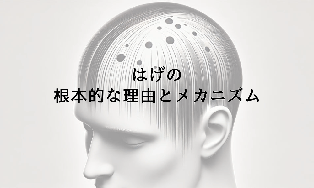 はげの根本的な理由とメカニズム - 薄毛になる原因を解明