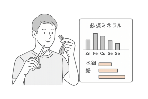 毛髪ミネラル検査の解析イメージ
