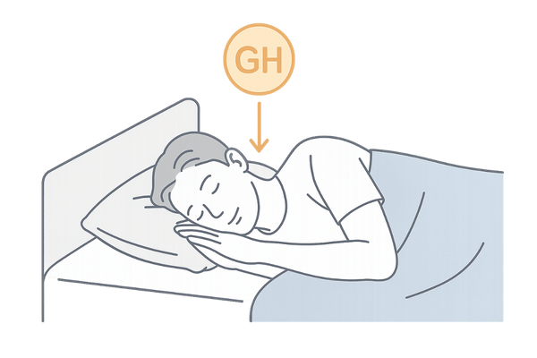深い睡眠中に成長ホルモンが分泌され髪を育む