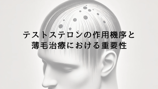 テストステロンの作用機序と薄毛治療における重要性