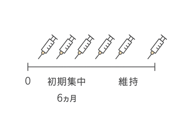メソセラピー治療スケジュール（初期集中～維持）タイムライン