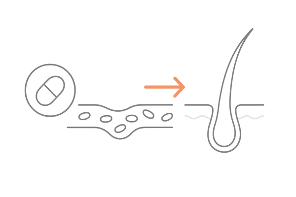ミノキシジルタブレット作用イラスト