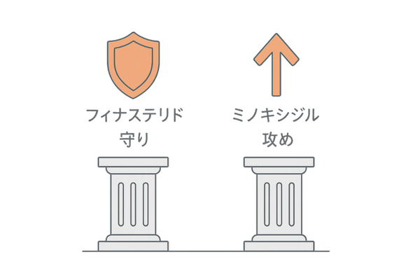薄毛治療の二本柱：抜け毛抑制と発毛促進の関係