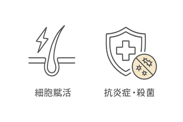 毛母細胞活性化と頭皮トラブル改善成分のアイコン比較