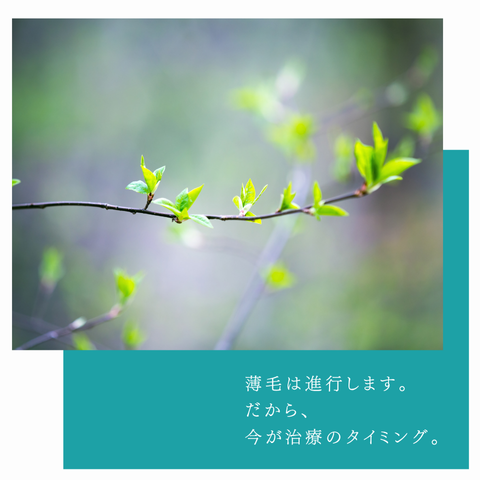 薄毛は進行します。
だから、
今が治療のタイミング。