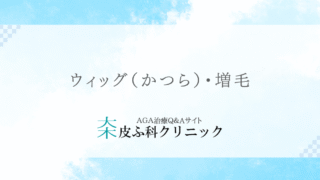 ウィッグ（かつら）・増毛（人工毛を自毛に結び付ける）