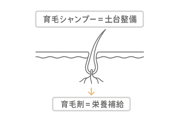 育毛シャンプーと育毛剤で頭皮土台を整えるイメージ図