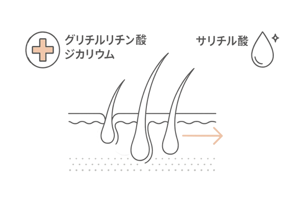 抗炎症+角質ケアで頭皮環境を整える(グリチル酸K2・サリチル酸)