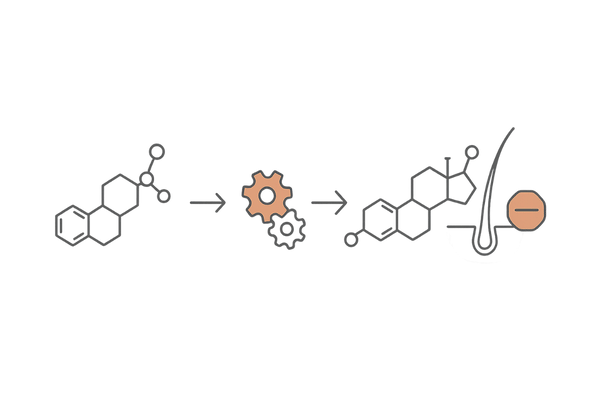 5αリダクターゼとDHTの流れ
