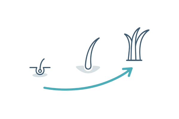 育毛ケアは数ヶ月単位：0〜6ヶ月の穏やかな変化イメージ