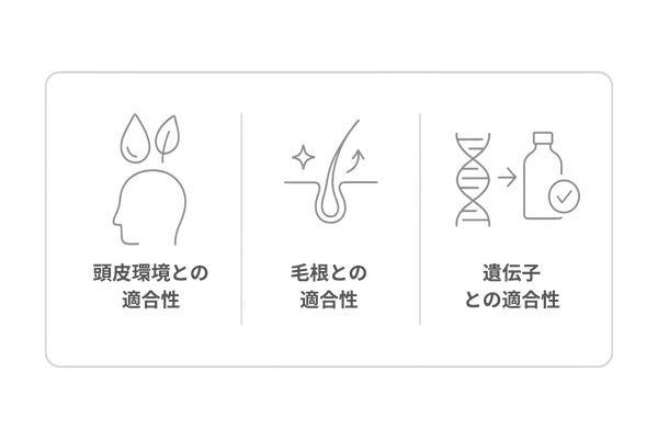 ランキング選定の基準：頭皮・毛根・遺伝子