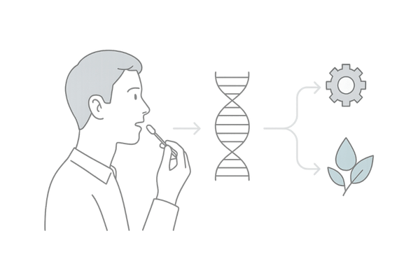 遺伝子検査フロー(唾液採取→DNA解析→成分方針分岐)