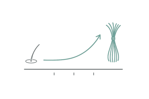 初期脱毛と継続の重要性:3→6ヶ月のタイムライン