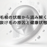 毛根の状態から読み解く抜け毛の原因と健康状態