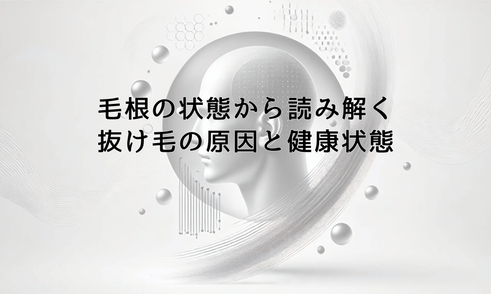 毛根の状態から読み解く抜け毛の原因と健康状態