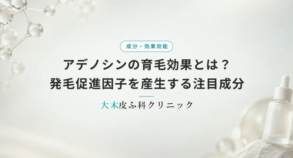 アデノシンの育毛効果とは?発毛促進因子を産生する注目成分の仕組みを解説