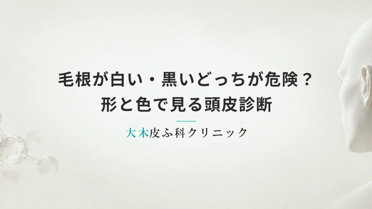抜け毛の毛根が白い・黒いどっちが危険？形と色で見る頭皮診断