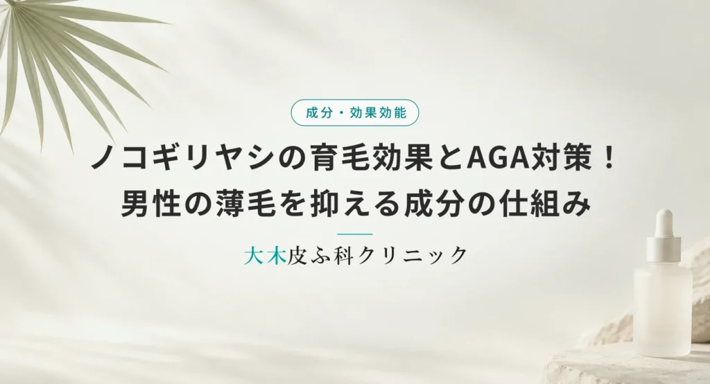 ノコギリヤシの育毛効果とAGA対策!男性の薄毛を抑える成分の仕組み
