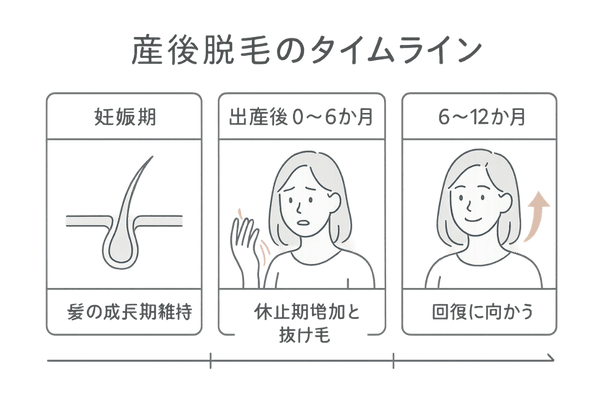 産後脱毛(分娩後脱毛症)の経過タイムライン(妊娠期→出産後→回復)