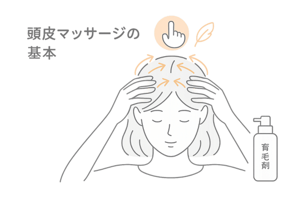 50代以降の頭皮マッサージ基本図(方向・圧のイメージ)