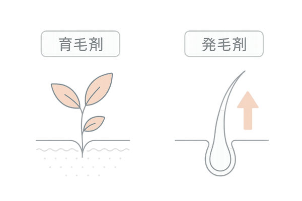 育毛剤と発毛剤の違い(目的・分類・役割の比較)