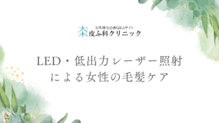 LED及び低出力レーザー照射による女性の毛髪ケアの可能性
