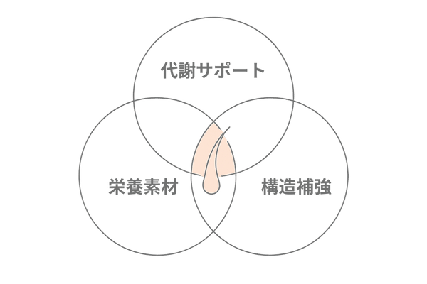 成分の相乗効果を示すベン図