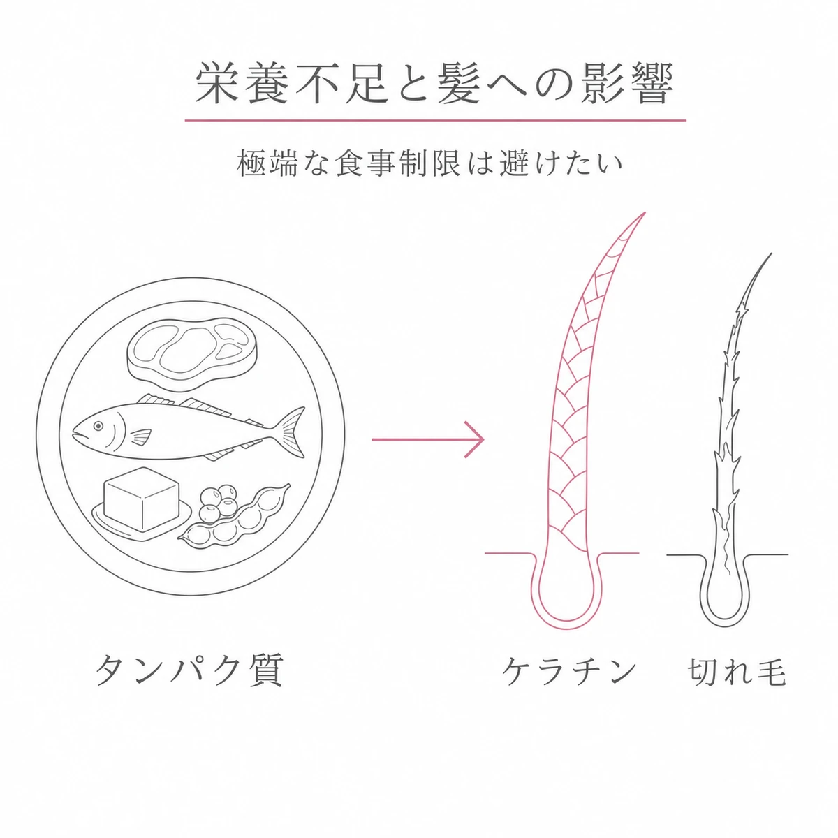 タンパク質不足で髪が細く弱くなる流れを食事と髪で表した線画イラスト