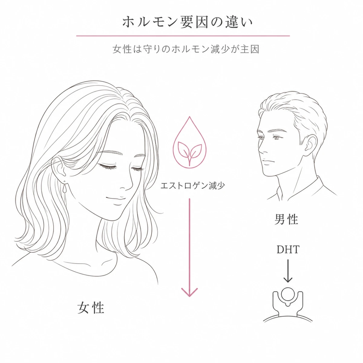 女性のエストロゲン減少と男性のDHT作用というホルモン要因の違いを左右で対比した線画イラスト