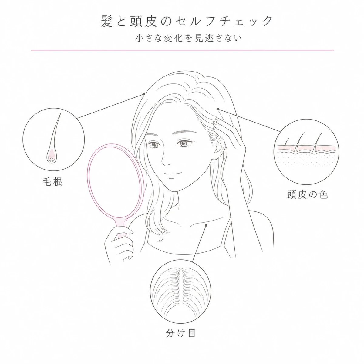 毛根や頭皮の色や分け目など髪と頭皮のセルフチェックの観点を表した線画イラスト
