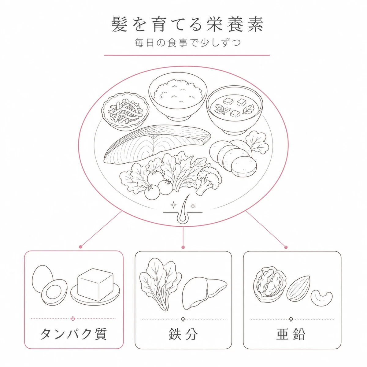 産後の髪を支えるタンパク質と鉄分と亜鉛を食事プレートから示した線画イラスト