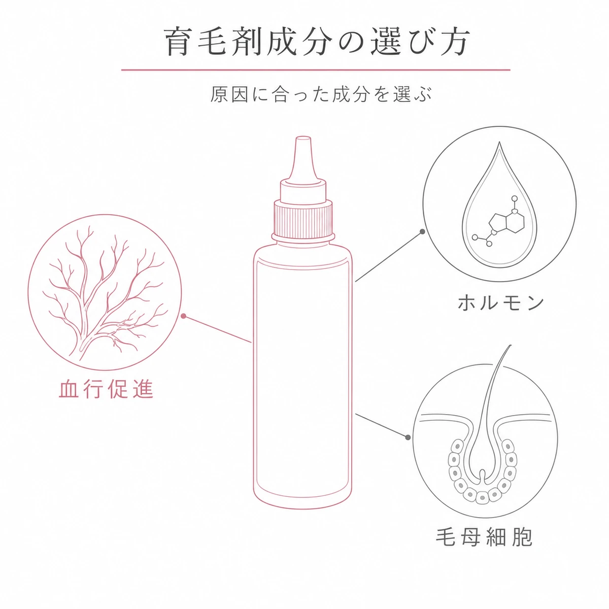 血行促進やホルモンや毛母細胞など悩み別に育毛剤の成分を選ぶ考え方を表した線画イラスト