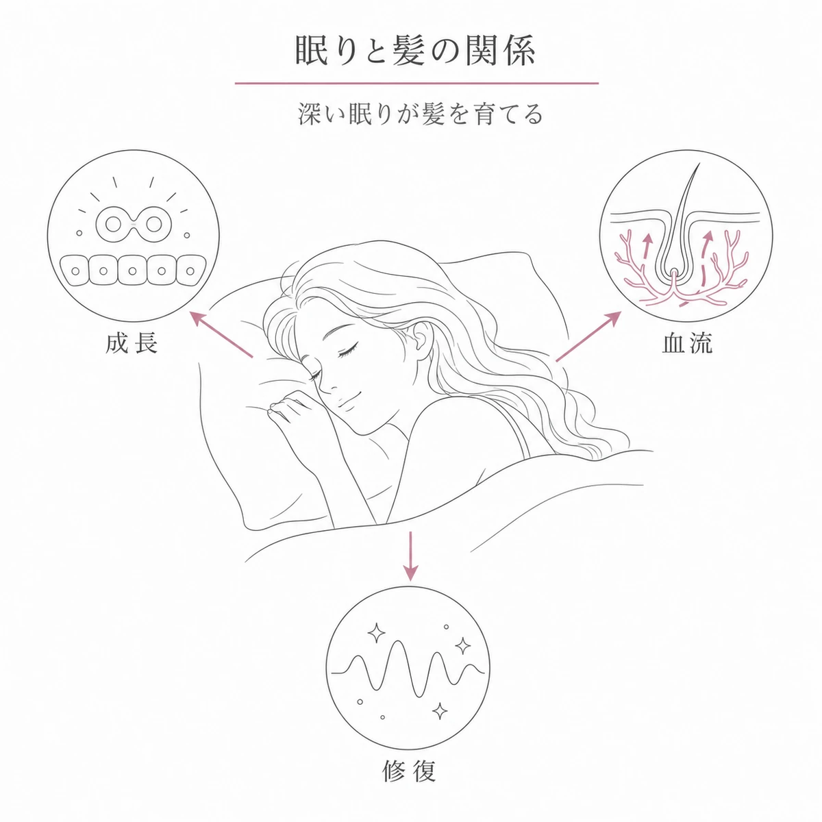 睡眠中に成長ホルモン・血流・修復が働き髪を育てる関係を表した線画イラスト