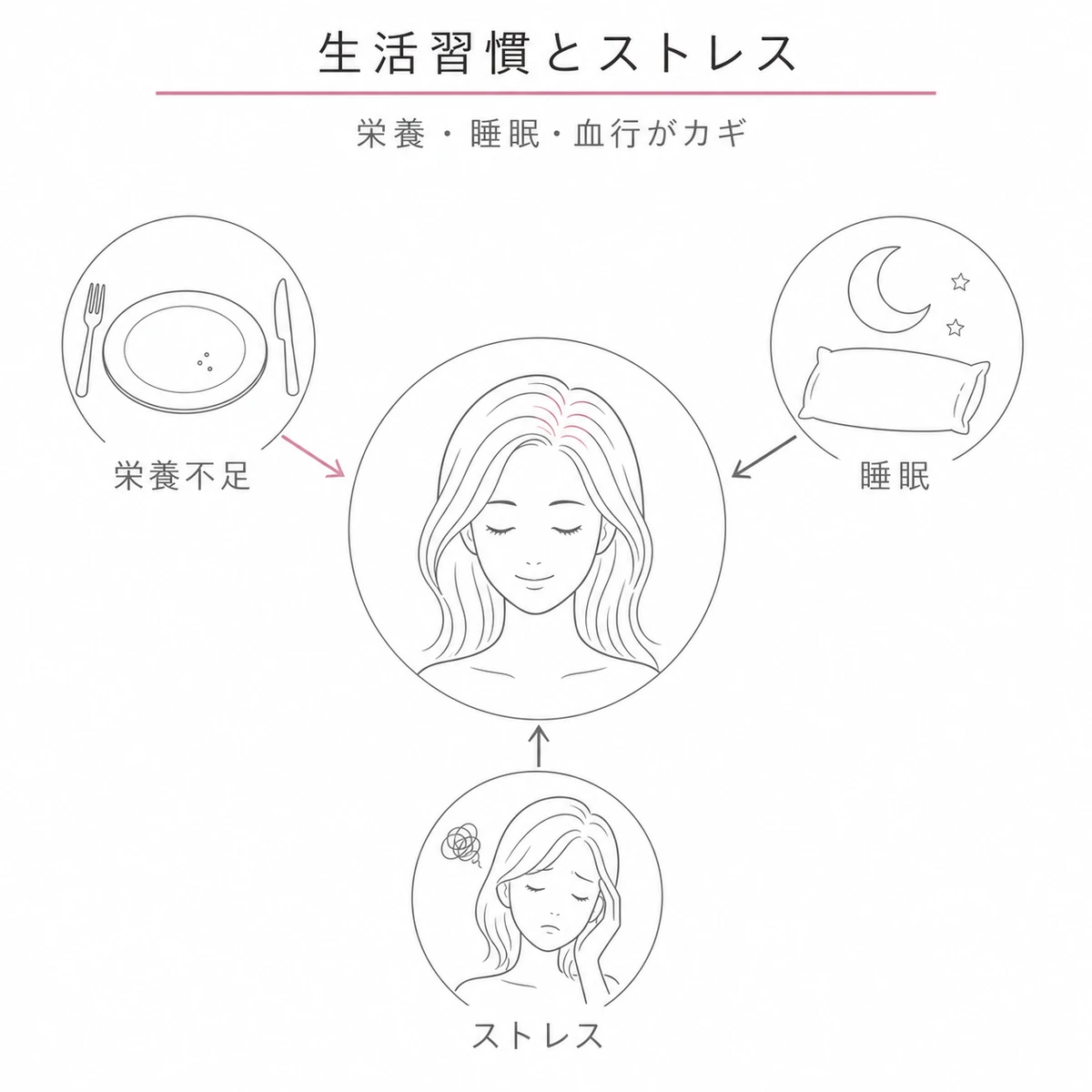 栄養不足と睡眠不足とストレスが重なって髪を弱らせる生活習慣の弊害を相関図で表した線画イラスト