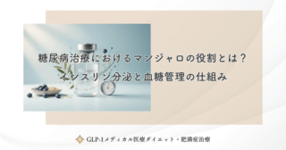 糖尿病治療におけるマンジャロの役割とは？インスリン分泌と血糖管理の仕組み