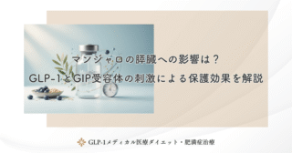 マンジャロの膵臓への影響は？GLP-1とGIP受容体の刺激による保護効果を解説