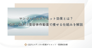 マンジャロのダイエット効果とは？GIP・GLP-1受容体作動薬で痩せる仕組みを解説