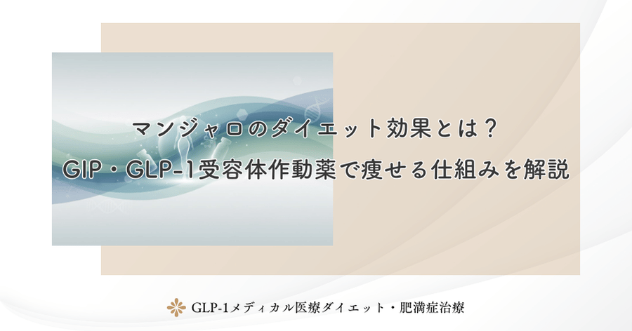 マンジャロのダイエット効果とは？GIP・GLP-1受容体作動薬で痩せる仕組みを解説